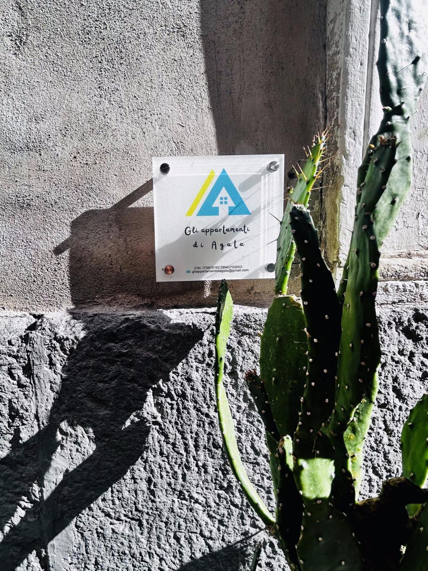 Gli Appartamenti Di Agata Catania Luaran gambar